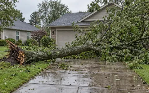 A fallen tree lying across a residential driveway in front of a closed garage